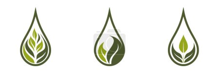Ilustración de Icono ecológico. planta verde en gota. agua limpia, orgánica y símbolos naturales. imágenes vectoriales aisladas en diseño plano - Imagen libre de derechos