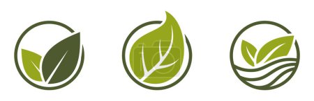 Ilustración de Iconos ecológicos. planta verde en un círculo. símbolos orgánicos, naturales y biológicos. ilustraciones vectoriales aisladas en diseño plano - Imagen libre de derechos