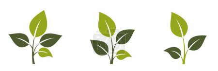 Ilustración de Planta iconos de ramitas. símbolos botánicos, ecológicos y de la naturaleza. ilustraciones vectoriales aisladas en diseño plano - Imagen libre de derechos