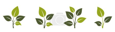 Ilustración de Planta rama icono conjunto. símbolos ecológicos, orgánicos y botánicos. imágenes vectoriales aisladas en diseño plano - Imagen libre de derechos
