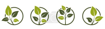 Ilustración de Eco amigable icono conjunto. brotar en un círculo. símbolos orgánicos y botánicos. imágenes vectoriales aisladas en diseño plano - Imagen libre de derechos