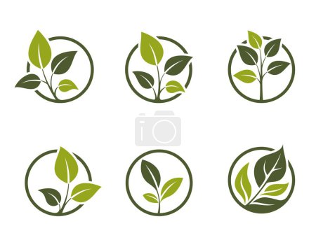 eco friendly icon set. green plant in a circle. organic, natural and botanical symbols. isolated vector images in flat design