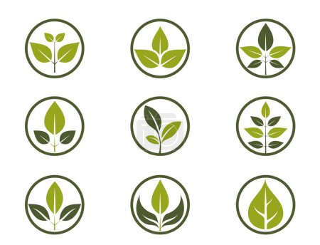 Ilustración de Conjunto de iconos orgánicos. planta verde en un círculo. eco amigable, símbolos naturales y bio. ilustraciones vectoriales aisladas en diseño plano - Imagen libre de derechos