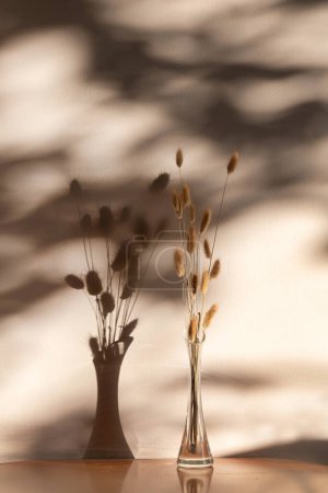 Photo for Beautiful moment when the sunlight filters through the leaves of trees and casts a shadow on the wall, komorebi - Royalty Free Image