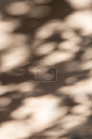 Photo for Beautiful moment when the sunlight filters through the leaves of trees and casts a shadow on the wall, komorebi - Royalty Free Image