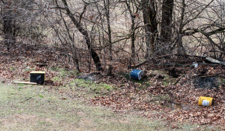 Téléchargez les photos : Une marmotte camouflée est difficile à repérer parmi les décombres, les branches, les feuilles sèches et l'environnement environnant dans le Missouri. - en image libre de droit