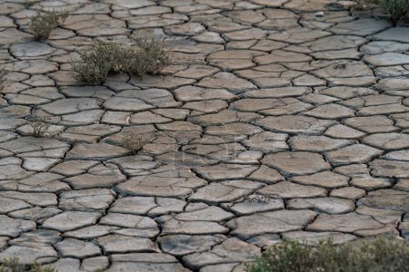 The concept of global warming. Dry cracks in the land, severe water scarcity. The concept of drought