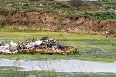 Abfälle und Müll aus touristischen Einrichtungen werden in die Lebensräume der Vögel geworfen. Verschmutzung von Feuchtgebieten, chemische Verschmutzung.