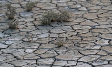 The concept of global warming. Dry cracks in the land, severe water scarcity. The concept of drought