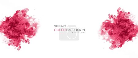 Photo for Color explosion. Acrylic ink in water isolated on white with copy space - Royalty Free Image