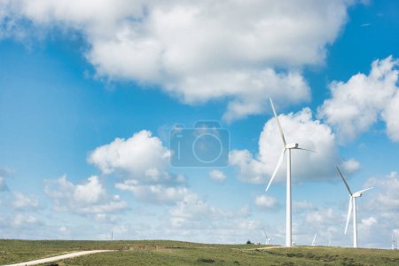 Photo for Wind turbines standing tall in a green landscape, symbolizing renewable energy and sustainability against a cloudy sky. - Royalty Free Image