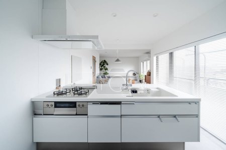 Einfache Küche im modernen Stil in weiß