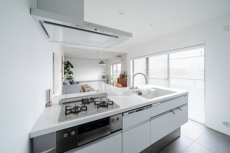 Simple modern style kitchen in white
