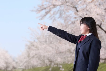 Female student pointing under the cherry blossoms