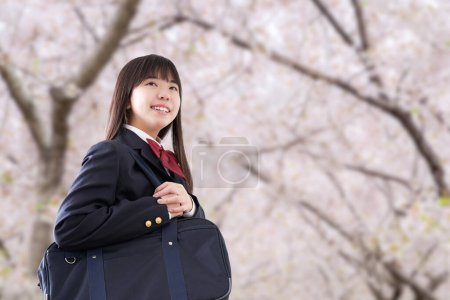 Female students commuting to school under the cherry blossoms