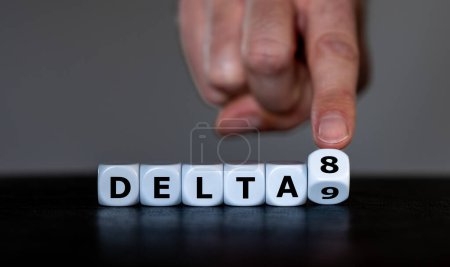 Foto de La mano gira dados y cambia la expresión 'delta 9' a 'delta 8'. Símbolo del Delta-8-tetrahidrocannabinol, un cannabinoide psicoactivo encontrado en la planta de Cannabis. - Imagen libre de derechos