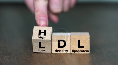 Hand dreht Würfel und ändert die Expression LDL (low density lipoprotein) in HDL (high density lipoprotein)).