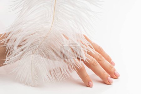 Foto de Primer plano de la mano femenina con piel lisa y pluma de avestruz suave sobre fondo blanco - Imagen libre de derechos