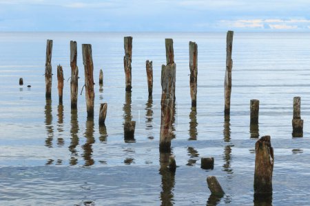 Téléchargez les photos : Un beau cliché d'un paysage de mer calme avec des poteaux de jetée cassés sortant de l'eau sur fond d'horizon. - en image libre de droit