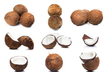 Téléchargez les photos : Collection de différentes noix de coco isolées sur fond blanc - en image libre de droit