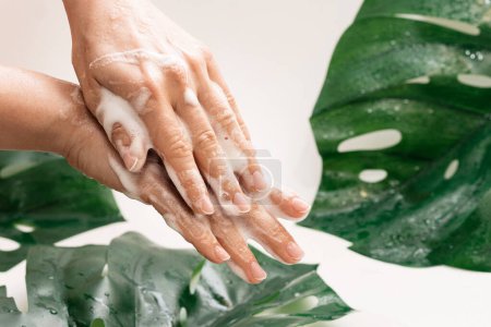 Téléchargez les photos : Gros plan des mains féminines avec mousse nettoyante sur fond de feuille tropicale monstera deliciosa - en image libre de droit