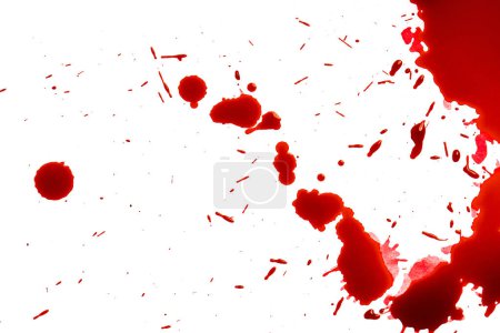 Téléchargez les photos : Éclaboussures de sang sur fond blanc. Ressource graphique. - en image libre de droit