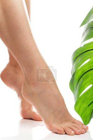 Foto de Primer plano de los pies femeninos con piel suave y manicura francesa sobre fondo blanco - Imagen libre de derechos