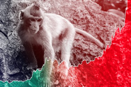 Foto de Antecedentes del mono y diagrama ascendente de casos de virus de la viruela del mono durante el brote - Imagen libre de derechos