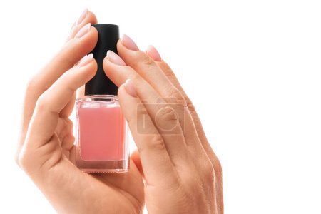 Téléchargez les photos : Gros plan de mains féminines avec belle manucure française tenant bouteille de vernis rose sur fond blanc - en image libre de droit