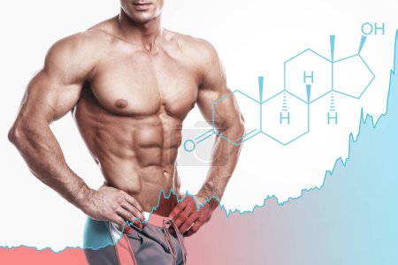 Photo for Shredded male torso, testosterone formula and rising chart. Concept of hormone increasing methods or anabolic steroids usage. - Royalty Free Image