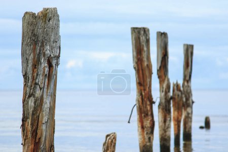 Photo for A beautiful shot of a a calm sea scenery with broken pier poles sticking out of water on horizon background. - Royalty Free Image