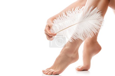 Téléchargez les photos : Gros plan de pieds femelles à la peau lisse et à la plume d'autruche douce sur fond blanc - en image libre de droit
