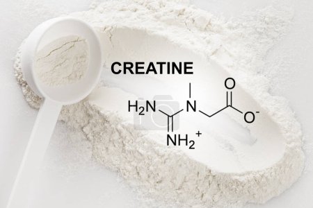 Nahaufnahme einer Schaufel mit Kreatin-Monohydrat-Supplement und chemischer Formel