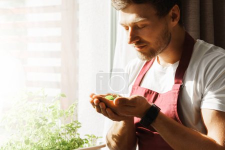 Photo for Young bearded man holds fresh home grown basil leaves in his hands. - Royalty Free Image
