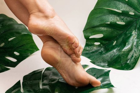 Téléchargez les photos : Gros plan de pieds femelles humides à la peau lisse et aux feuilles tropicales - en image libre de droit
