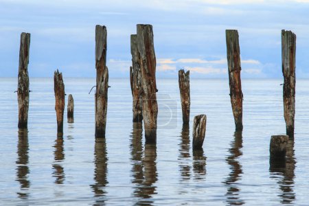 Foto de Una hermosa toma de un paisaje marino tranquilo con los postes rotos del muelle que sobresalen del agua en el fondo del horizonte. - Imagen libre de derechos