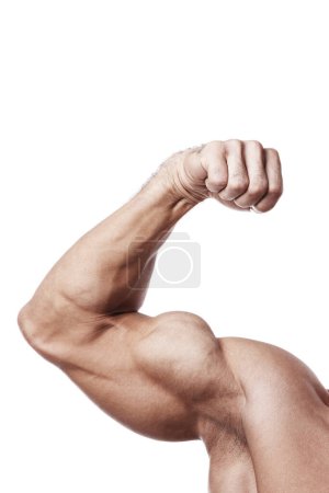 Muskulöser männlicher Arm mit Bizepsspitze auf weißem Hintergrund