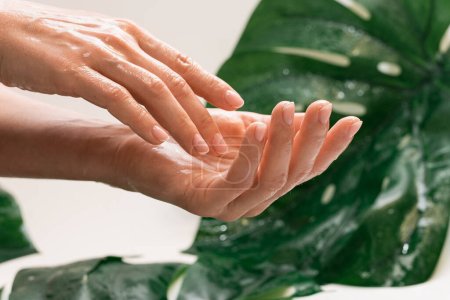 Téléchargez les photos : Gros plan de mains féminines humides à la peau grasse hydratée - en image libre de droit