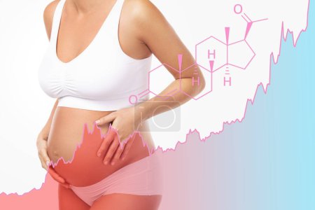 Foto de Mujer embarazada joven y tabla ascendente del nivel hormonal de progesterona durante el embarazo - Imagen libre de derechos