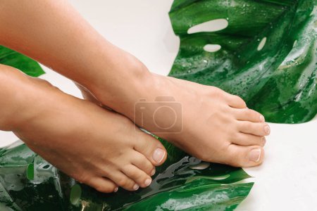 Foto de Primer plano de pies femeninos húmedos con piel lisa y hojas tropicales - Imagen libre de derechos
