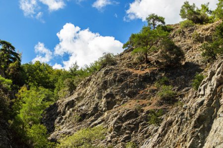 Foto de Increíble paisaje de un valle rocoso durante las vacaciones de verano - Imagen libre de derechos