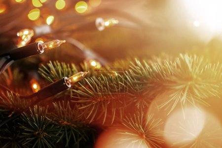 Téléchargez les photos : Gros plan des lumières de Noël scintillantes h et des brindilles d'épinette fraîches. - en image libre de droit