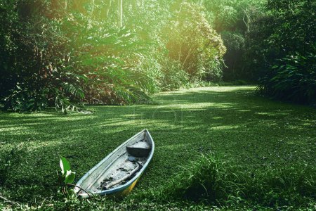 Téléchargez les photos : Mystérieux vieux bateau abandonné avec pelle à l'intérieur caché dans le marais de la forêt - en image libre de droit