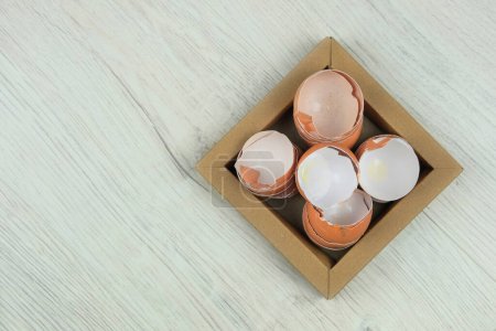 Foto de Montón de cáscaras de huevo rotas agrietadas en la placa de cartón. Residuos orgánicos para compost. Vista superior. Copiar espacio. - Imagen libre de derechos