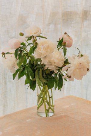 Paeonia suffruticosa dans un vase à la maison. Design fleuriste. Fleurs dans la journée ensoleillée. Fleurs crème voyantes. Fleurs romantiques.