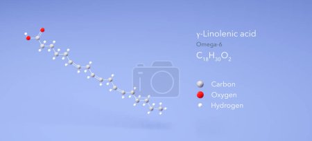 Gamma-Linolensäure-Molekül, molekulare Strukturen, Omega-6, 3D-Modell, strukturchemische Formel und Atome mit Farbcodierung