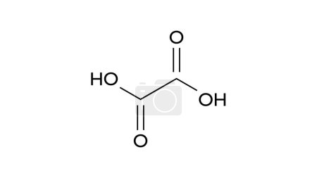 Téléchargez les photos : Molécule d'acide oxalique, formule chimique structurale, modèle boule-bâton, image isolée acide éthanedioïque - en image libre de droit