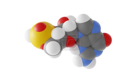 zyklisches Guanosin-Monophosphat-Molekül, zyklisches Nukleotid, molekulare Struktur, isoliertes 3D-Modell van der Waals