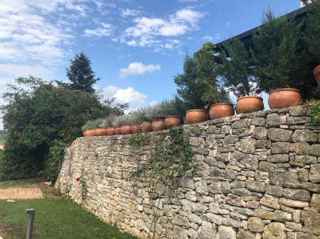 Pots of flowers on a stone wall in Croatia 
