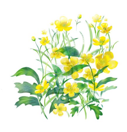 Gelbe botanische Waldsommerblumen 